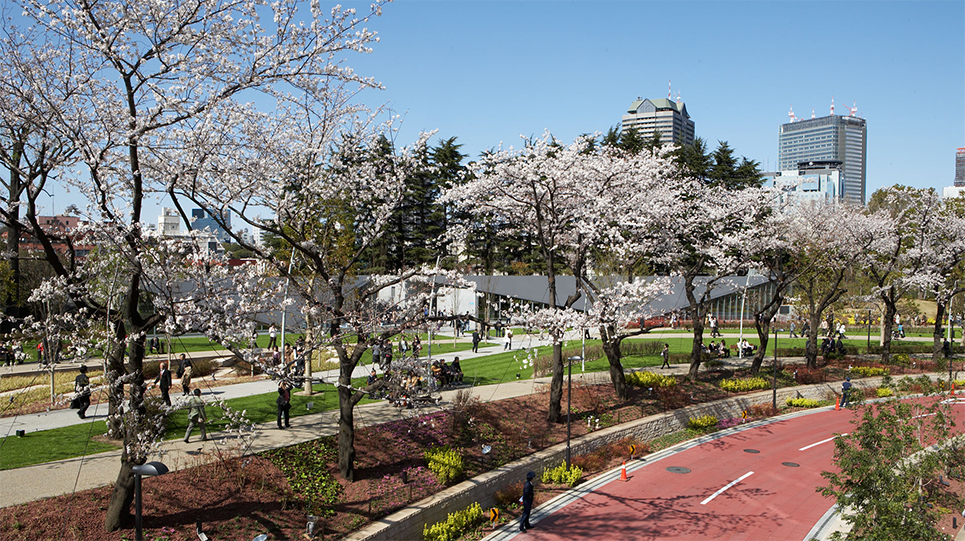 日本艺术留学,日本艺术留学干货,日本美术馆