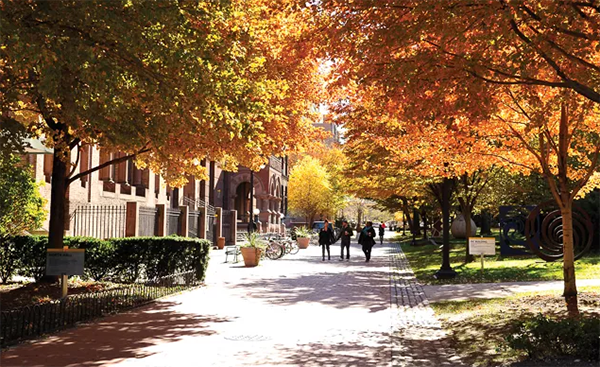 美国波士顿大学世界排名怎么样