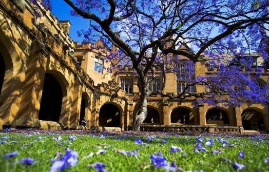 英国电影留学院校推荐：综排高专业强的爱丁堡大学