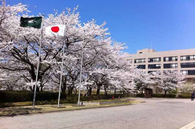 日本艺术类大学有哪些？汇总详解