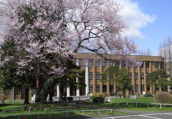 日本冲绳县立艺术大学怎么样？好申请吗？