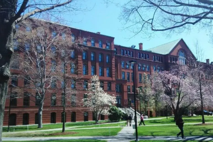 波士顿大学世界排名多少？