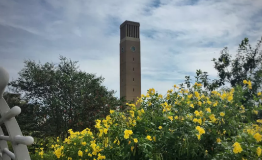 德州农工大学算名校吗?